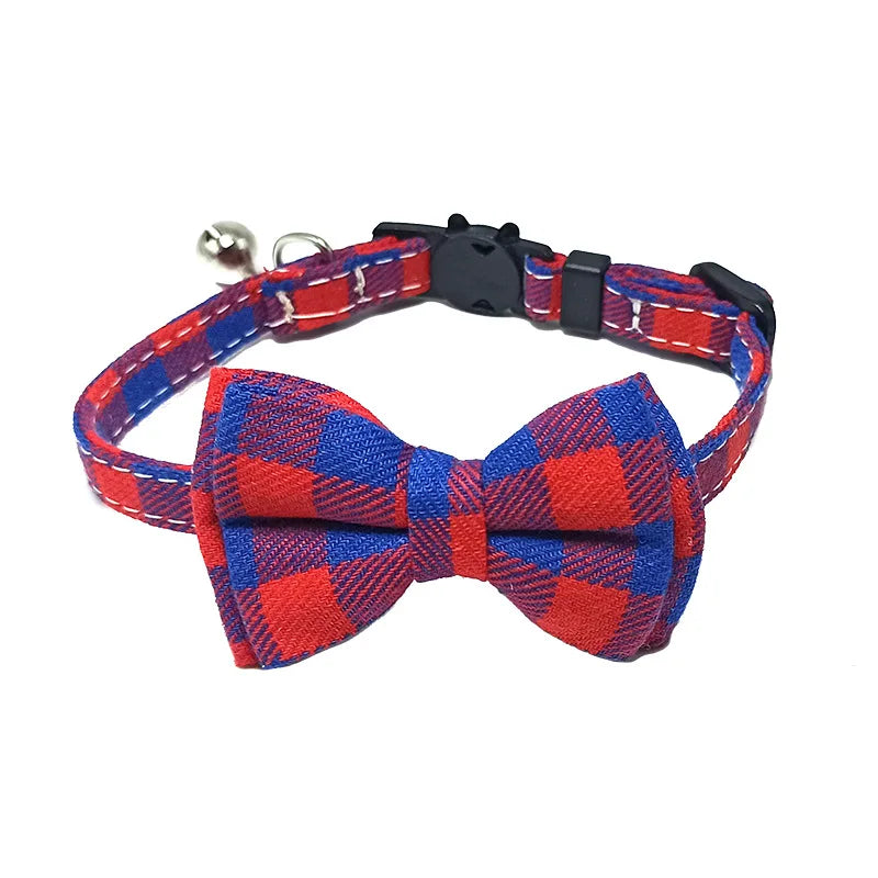 Lindo collar elástico ajustable